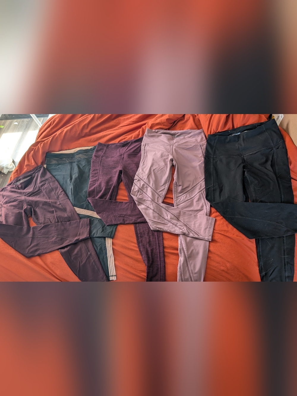 Victoria's Secret Knockout Tights Bundle